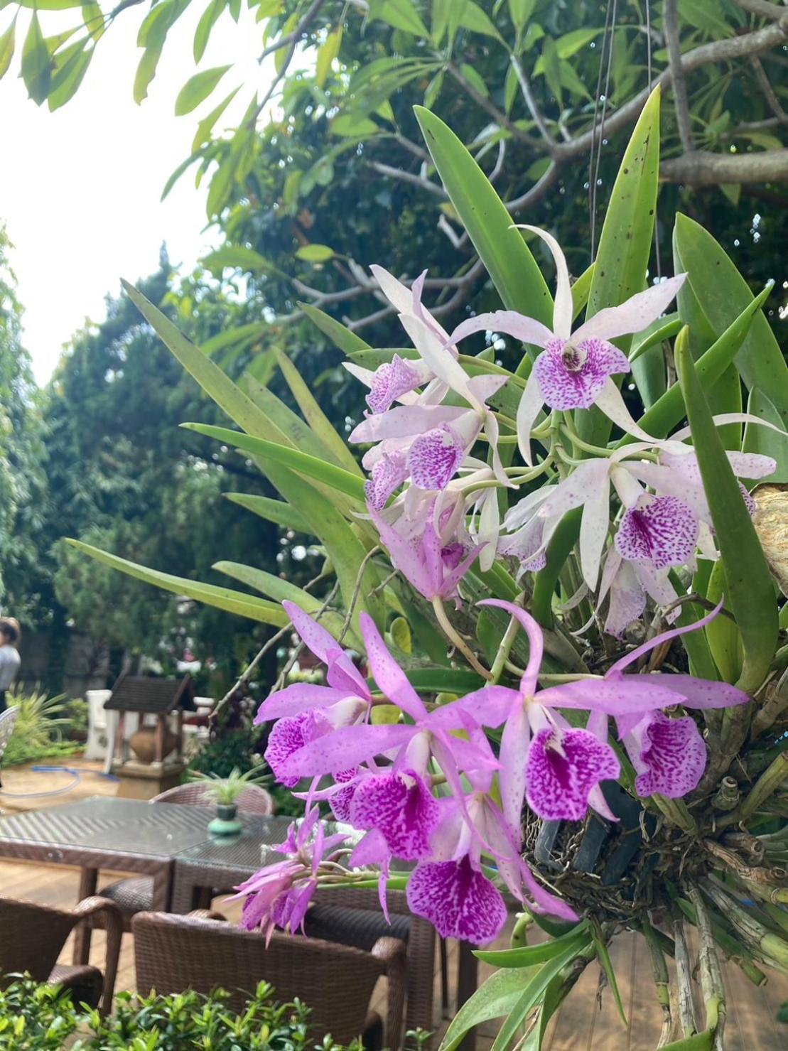 Wiriya House Hostel Chiang Mai Exterior photo